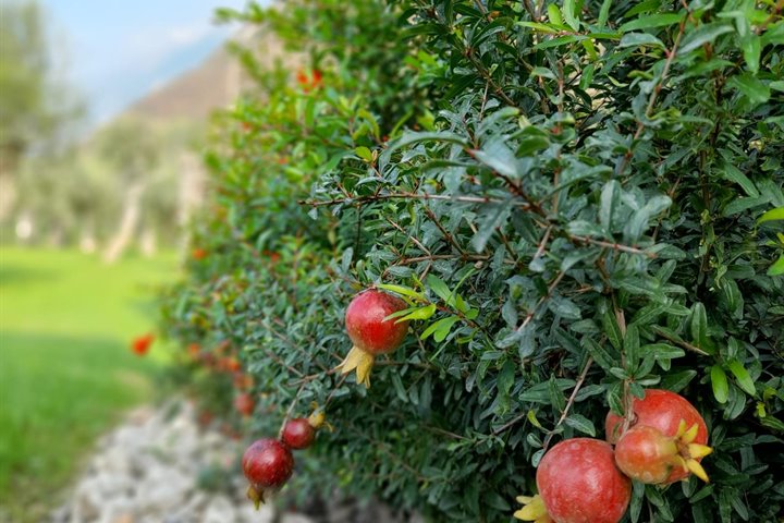 September on the Lake Garda