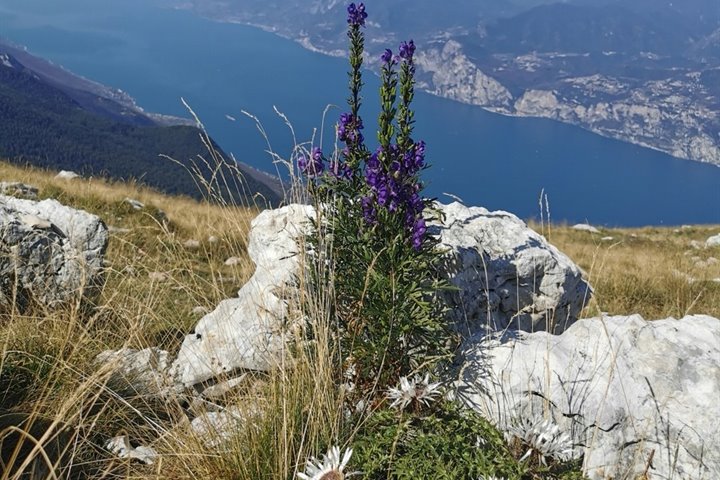 Vacanze estive sul Lago di Garda